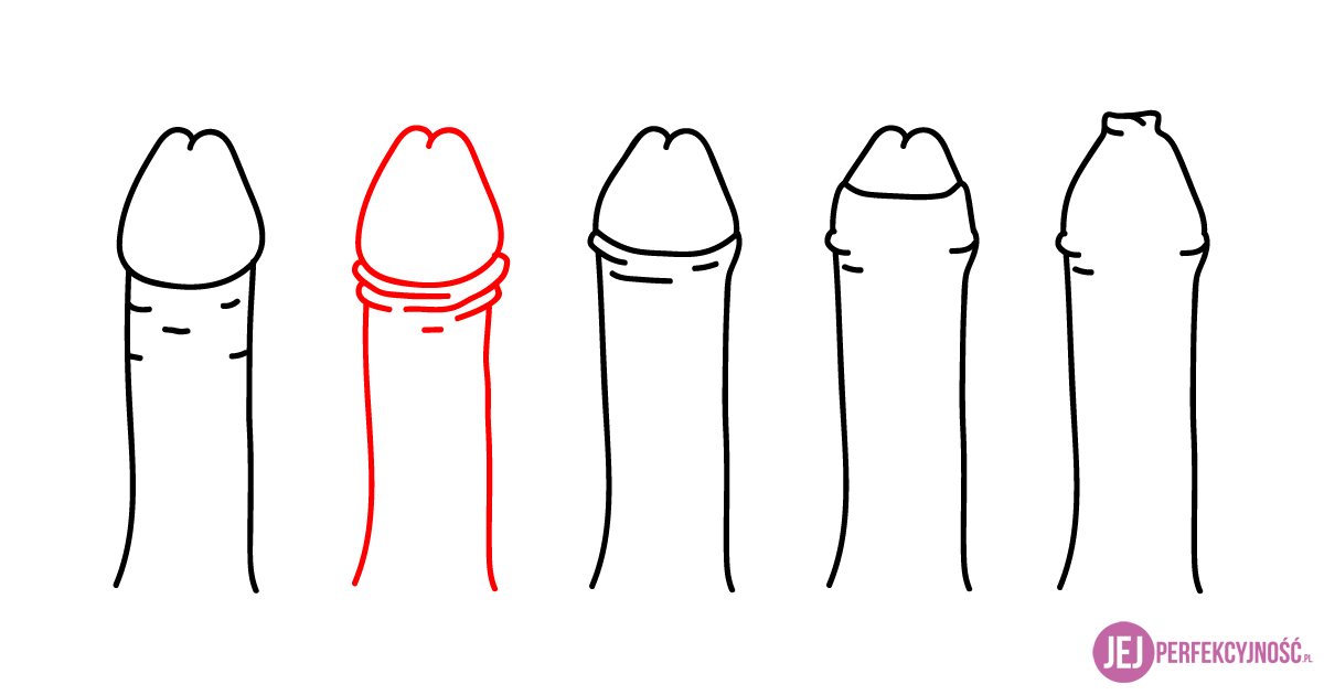 wymiary i kształty penisa